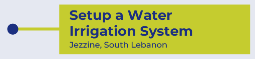 Seal-Dec-Newsletter-2024-05.png