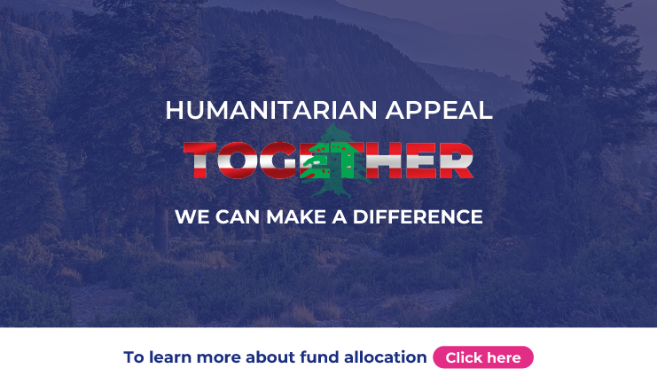 Seal-Dec-Newsletter-2024-30.png